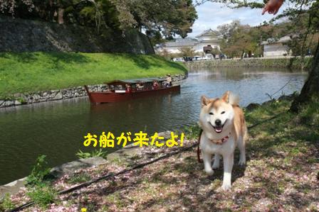 遊覧船