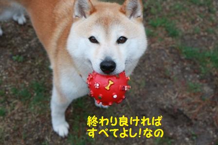 すべて良し