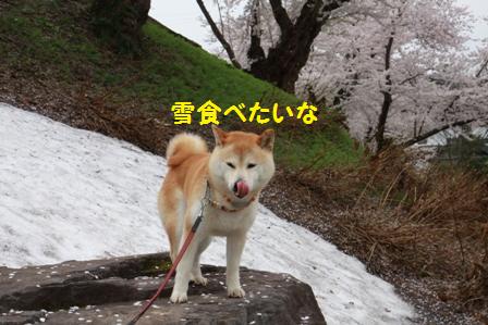 食べたい