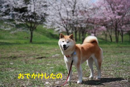 おでかけ