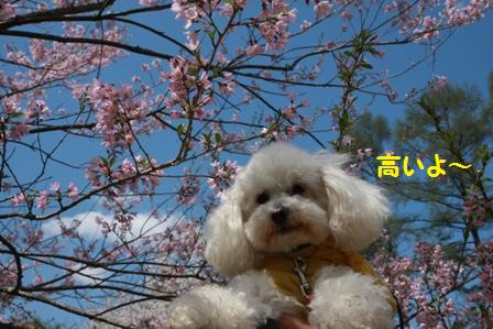 みかんちゃん