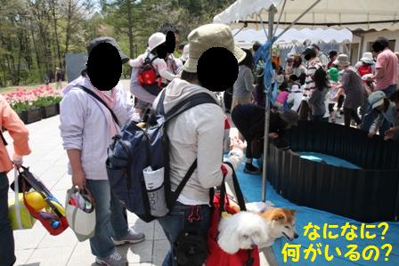 なになに?
