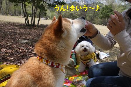 まいう~