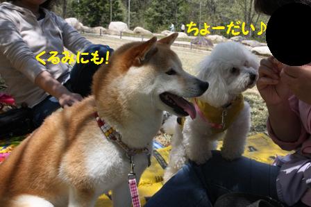 ちょーだい