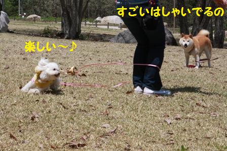 はしゃいでる