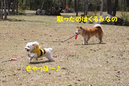 くるみが取ったの