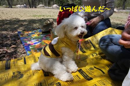 遊んだ