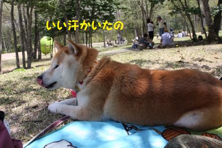 いい汗かいた