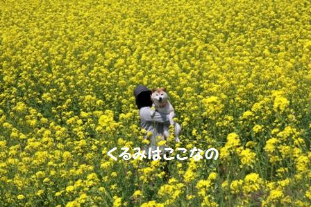 ここだよ