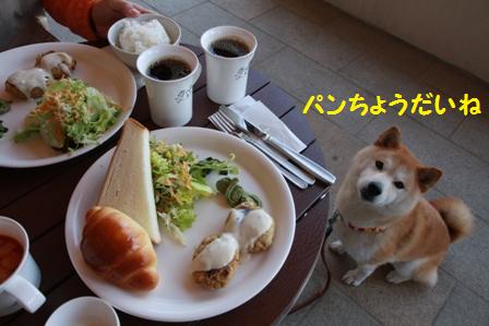 ランチ