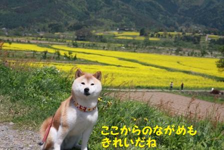 眺めがいいの
