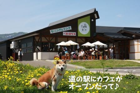 道の駅