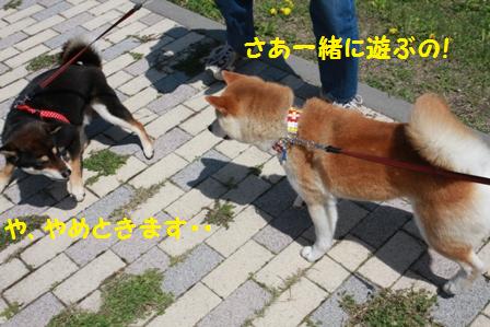 やめときます