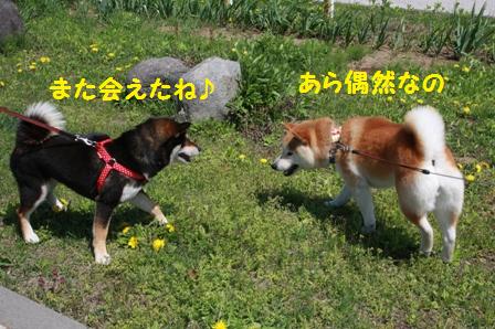 偶然