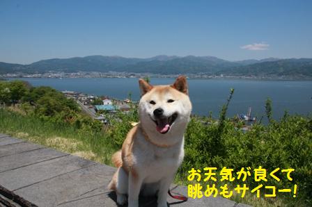 眺めサイコー