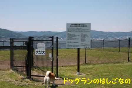 諏訪湖ドッグラン