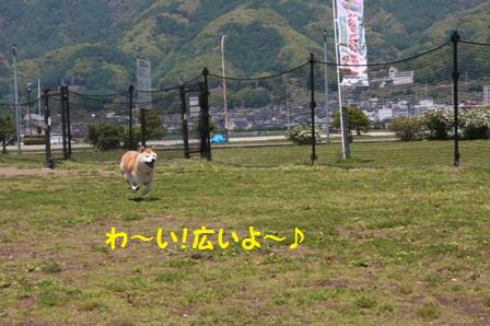 広い