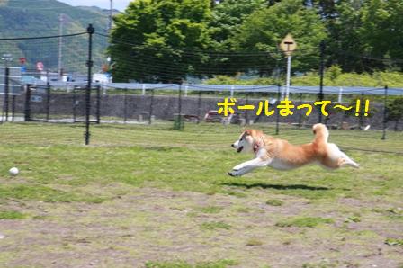 待って~