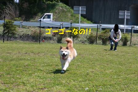 ゴーゴー