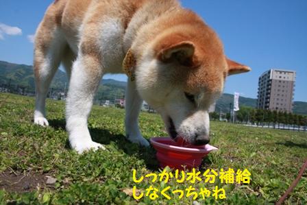 水分補給