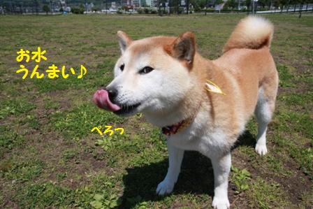うんまい