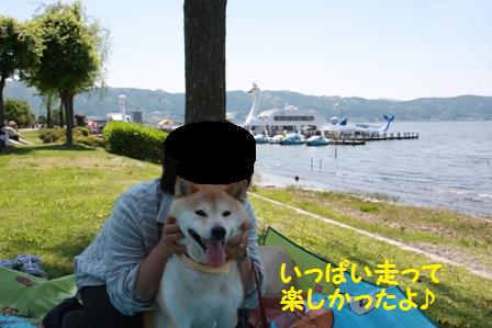 楽しかった
