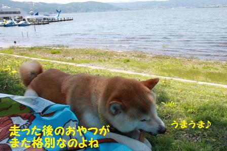 おやつ