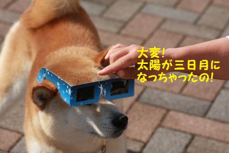 サングラス