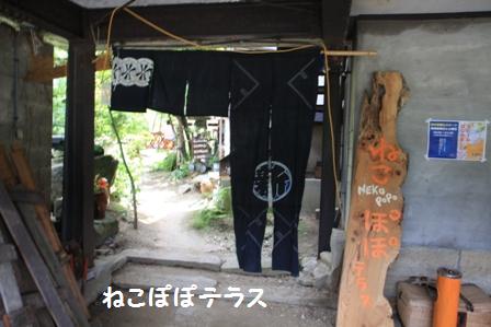 ねこぽぽテラス
