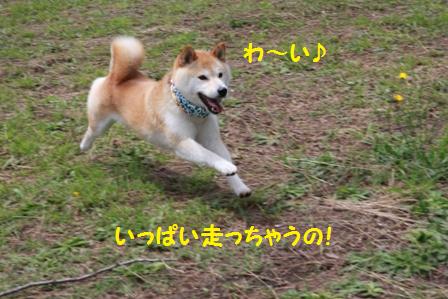わ~い