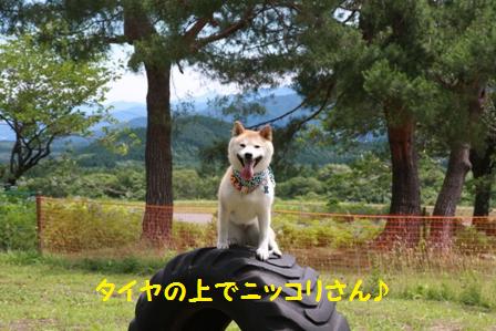 ニッコリ