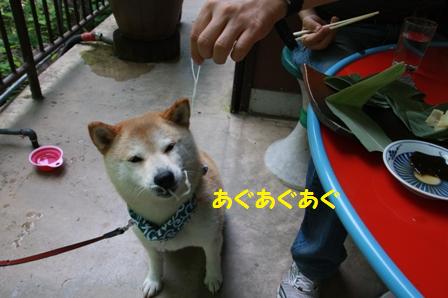 あぐあぐあぐ