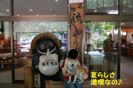 夏らしさ
