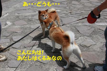 こんにちは