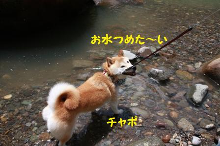 つめたい