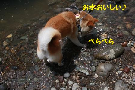 おいしい