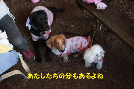 あるよね