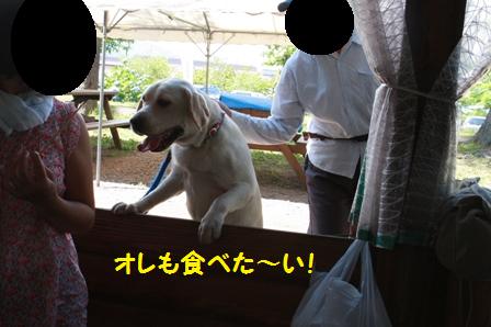 食べたい