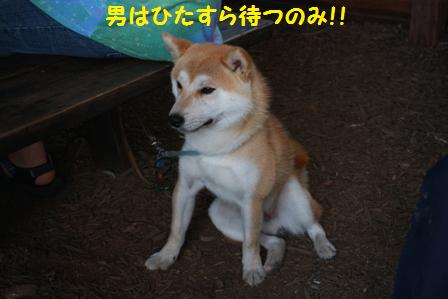待つ
