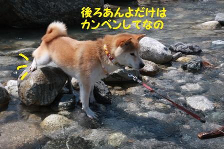 カンベン