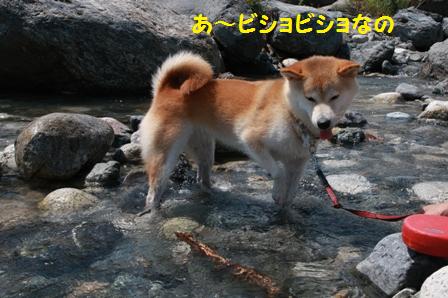 ビショビショ