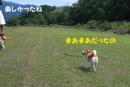 まあまあ