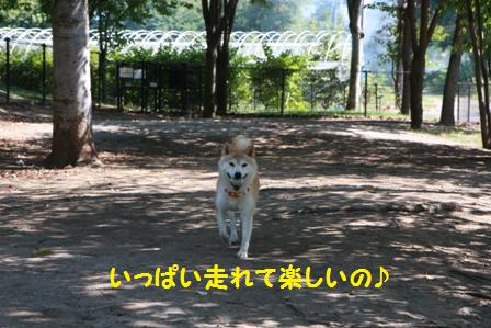 走った