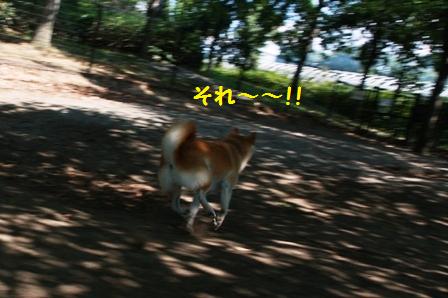 それ~~