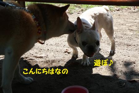 こんにちは