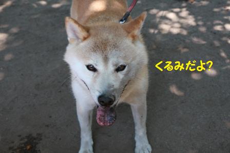 誰?