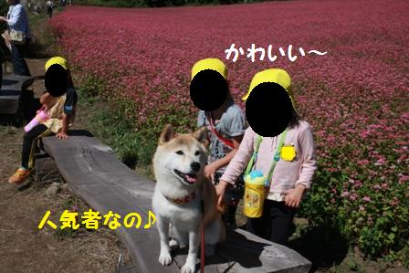 人気者