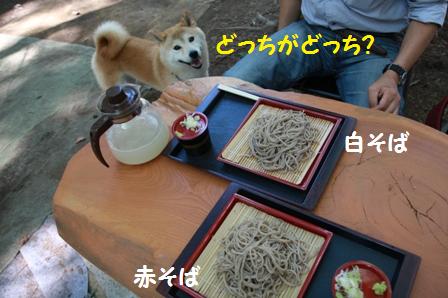 赤そばと白そば