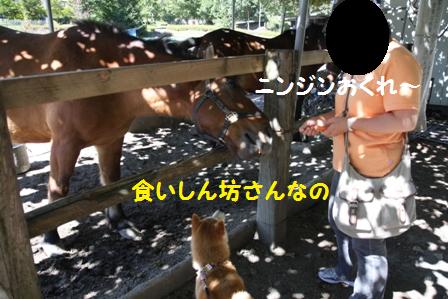 食いしん坊