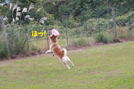 ほっ